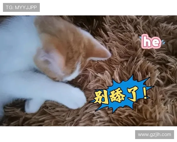 榛勬袱娈靛瀹忚洰鑽掔鍦扮孩姣悓妗嗭紒鍙屽奖甯濊摑娉ラ€犲瀷寮曠垎鎮枒寮犲姏